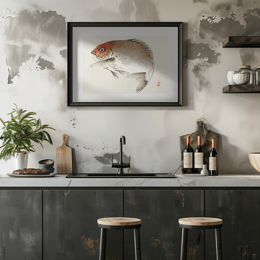 Tai (red Seabream) Fish