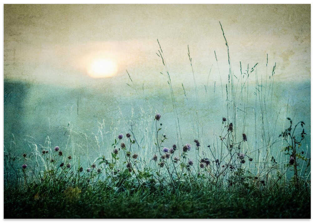 Autumn sunrise