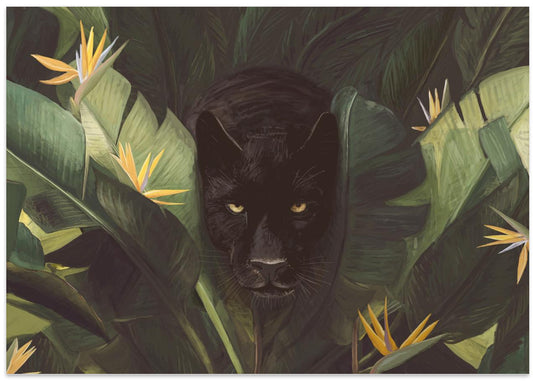Hello Panther