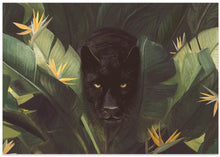 Load image into Gallery viewer, Hello Panther
