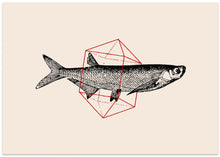 Load image into Gallery viewer, Fish In Geometrics Nº2
