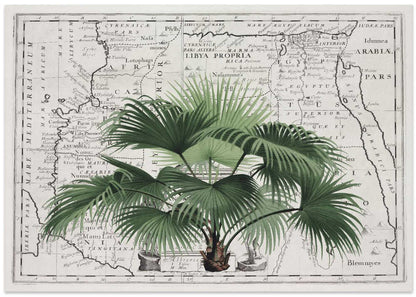 Vintage Palm on Africa Map