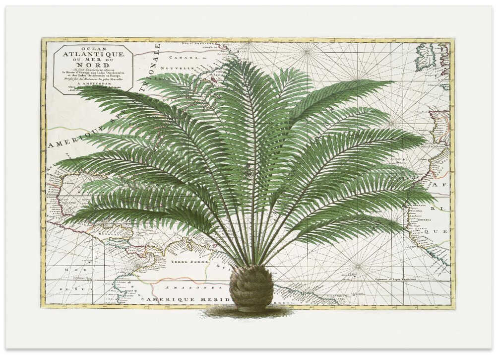 Vintage Palm Atlas