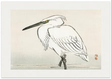 Load image into Gallery viewer, Snowy Egret

