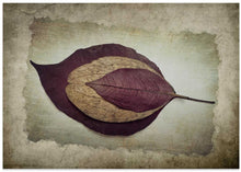 Load image into Gallery viewer, The Story of Nature
