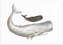 Load image into Gallery viewer, Gentle Ocean Giants
