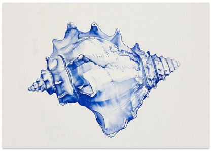 Blue Conch Harmony