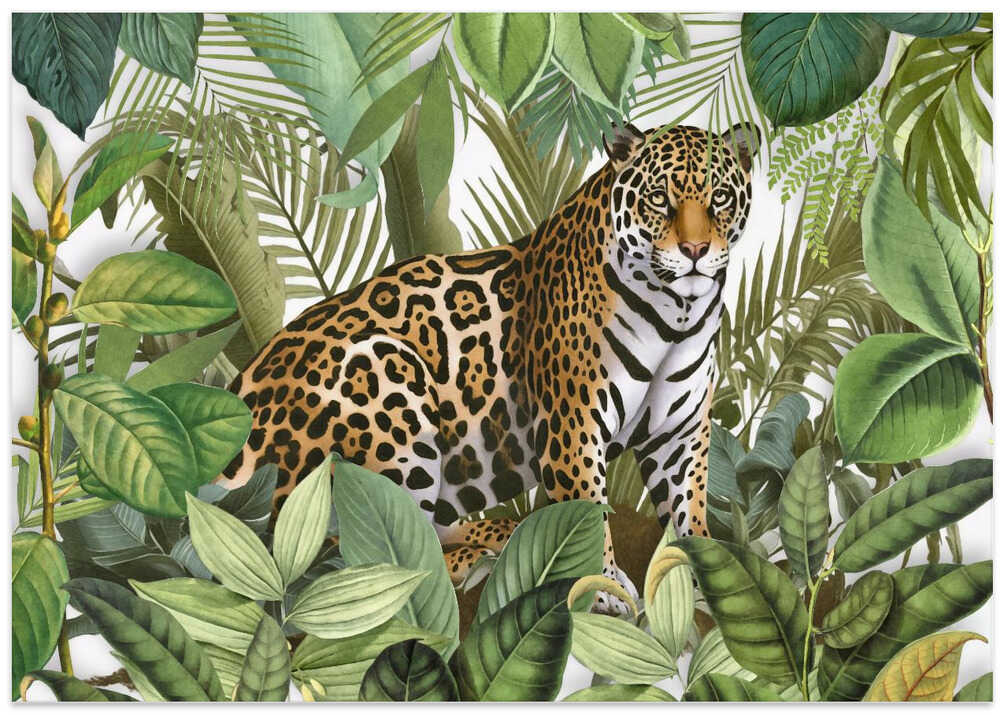 Wild Jungle Jaguar