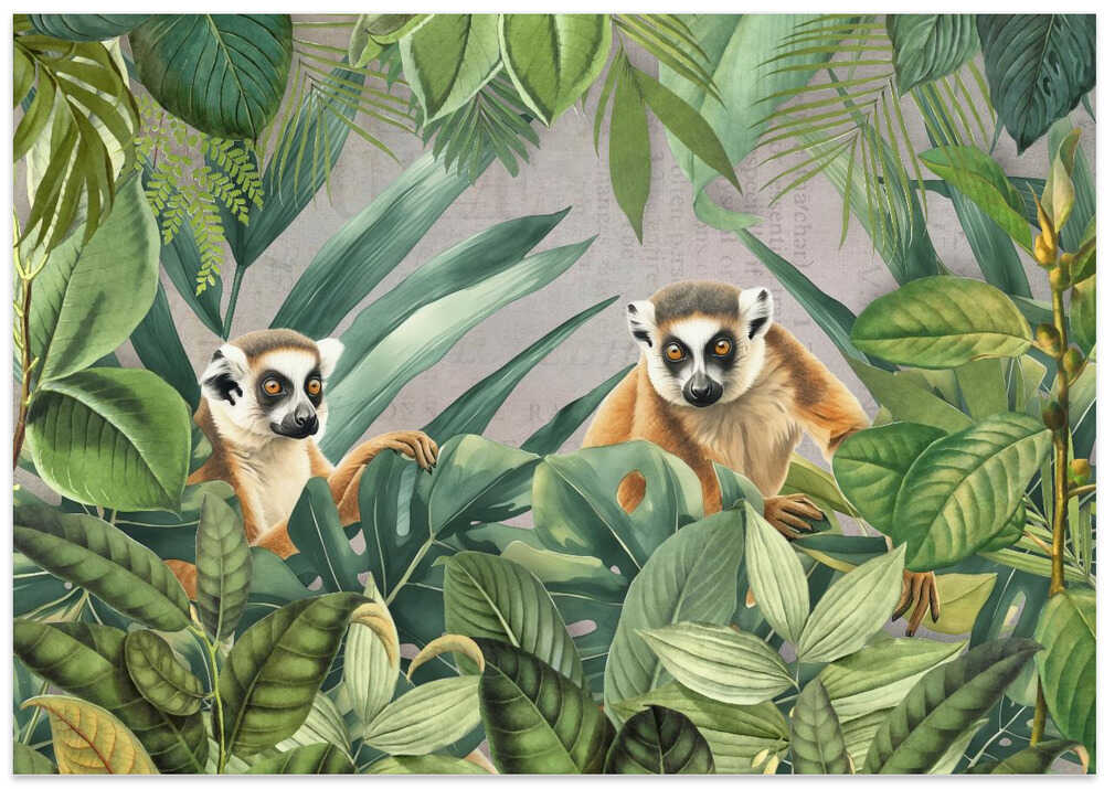 Jungle Lemurs Peeking