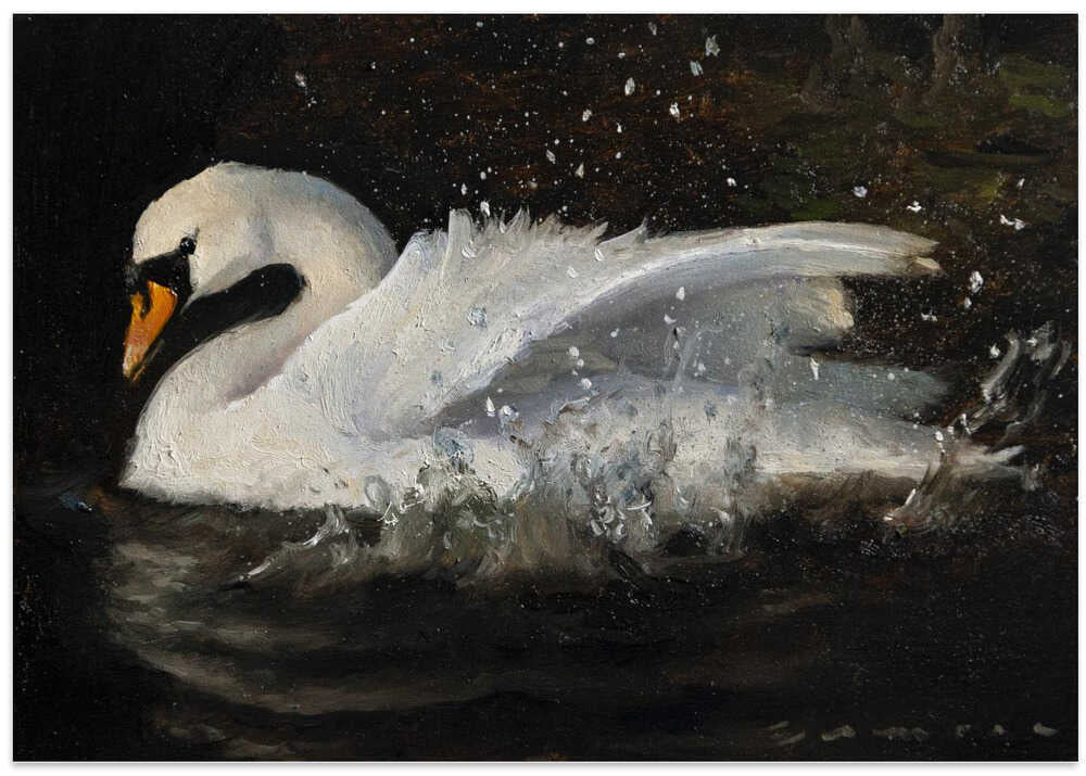 The Swan