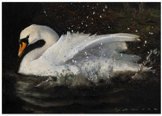 The Swan