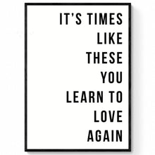 Load image into Gallery viewer, Foo Fighters Times Like These Print
