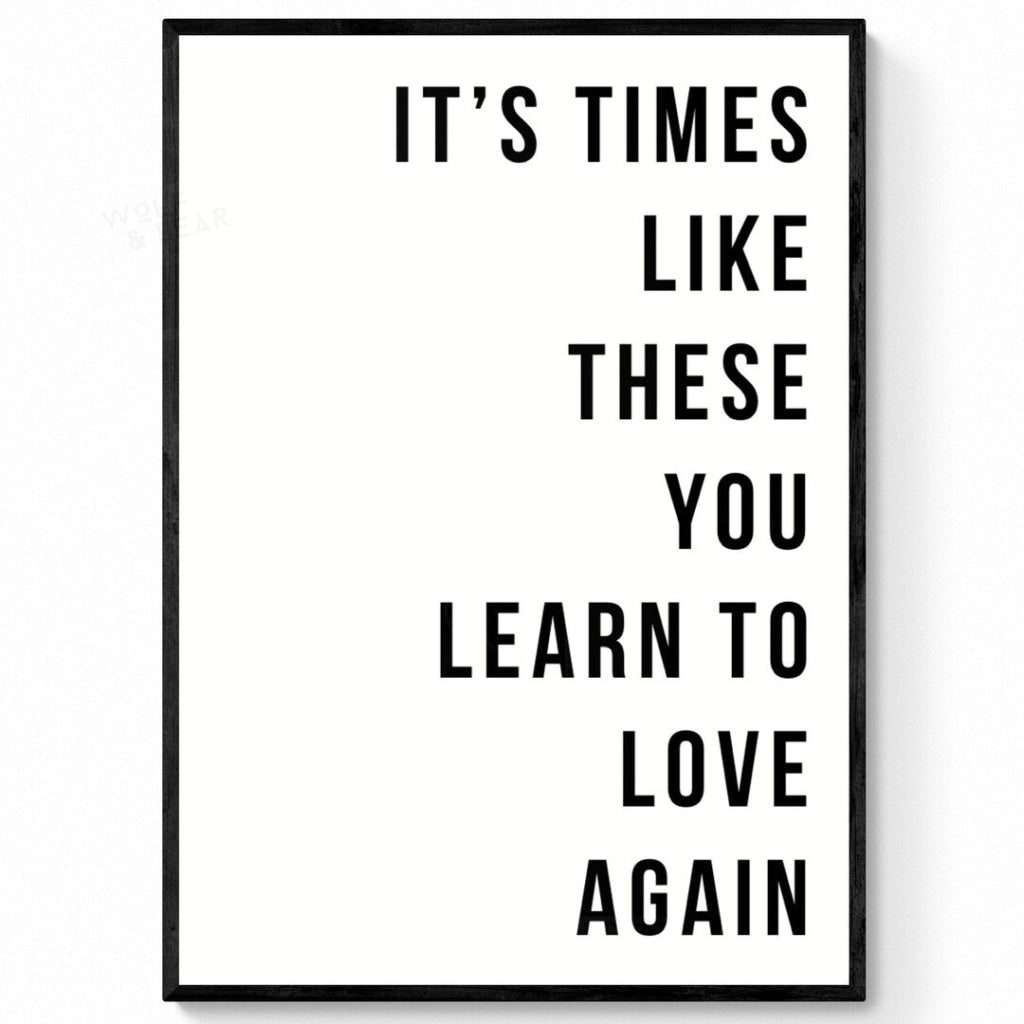 Foo Fighters Times Like These Print