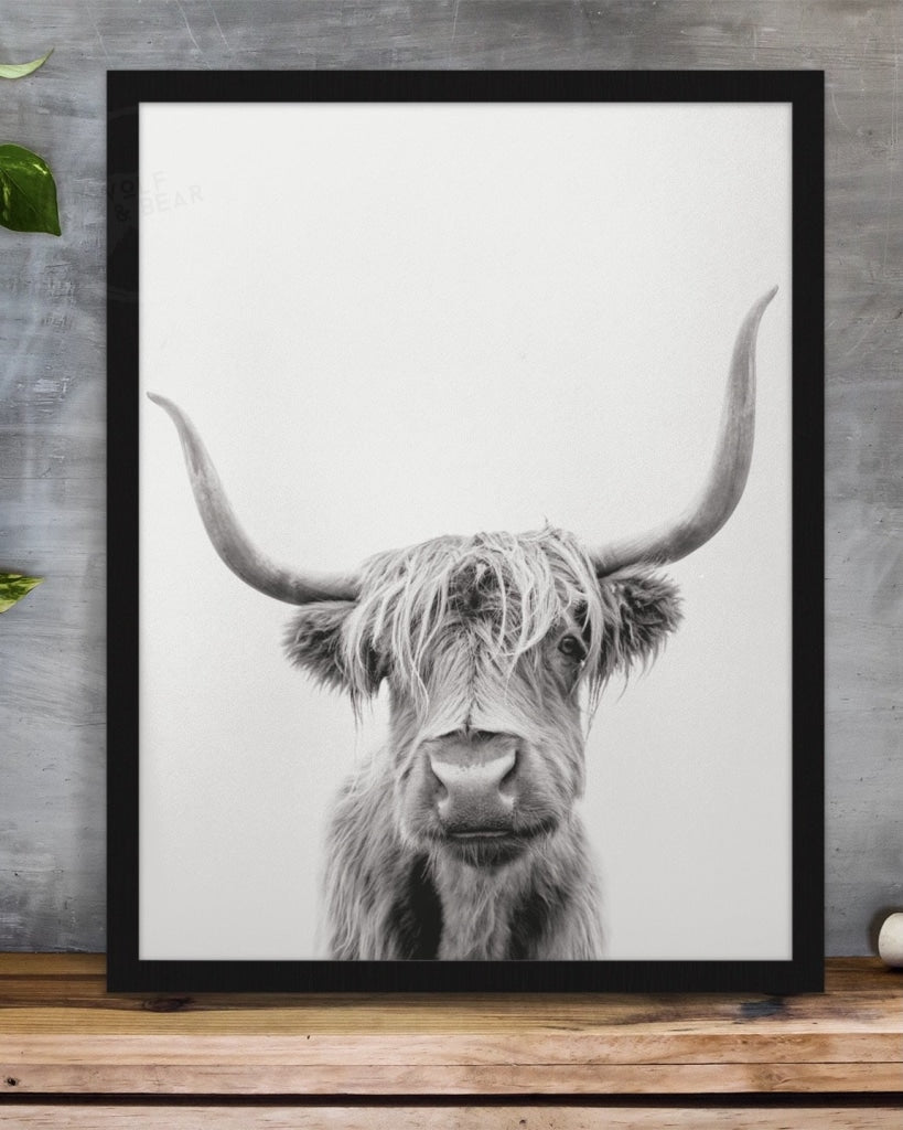 Highland Cow Print
