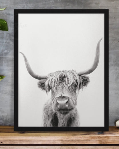 Highland Cow Print