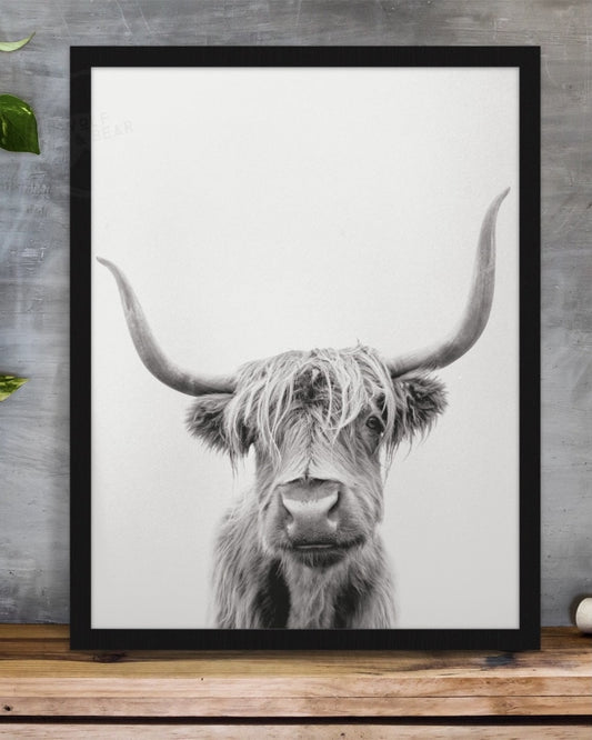 Highland Cow Print