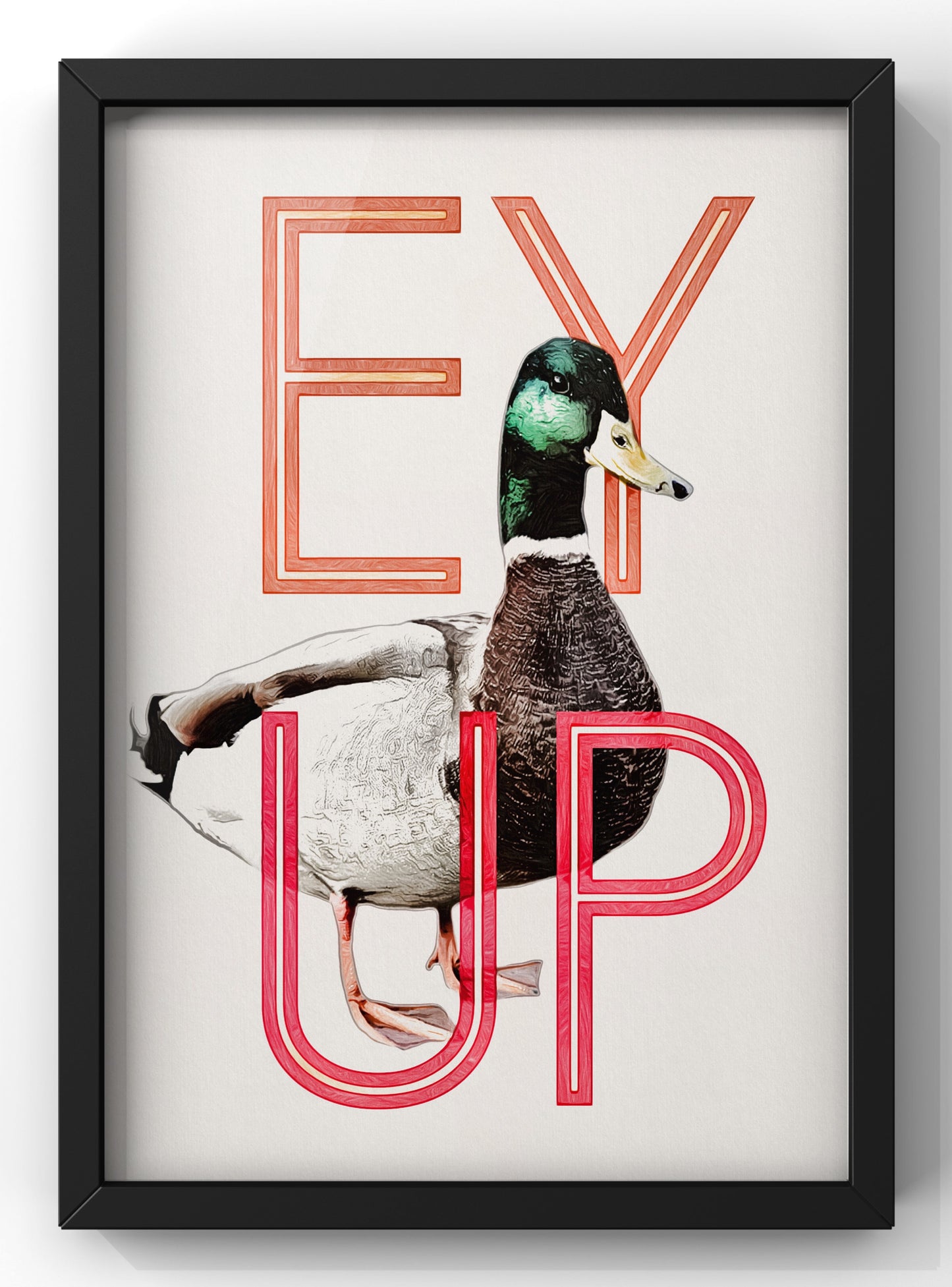 Ey Up Duck Print | Yorkshire Wall Art