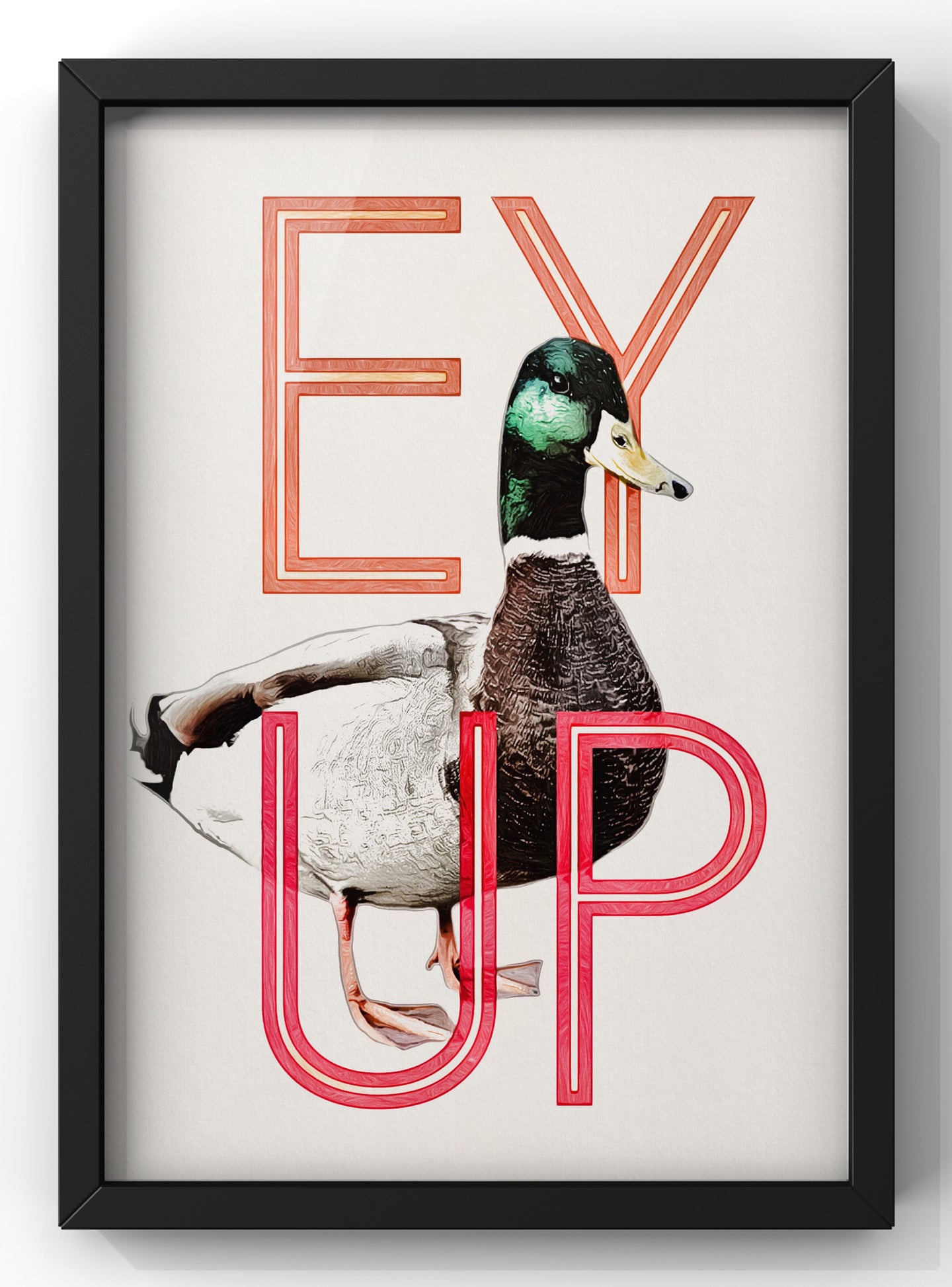Ey Up Duck Print | Yorkshire Wall Art