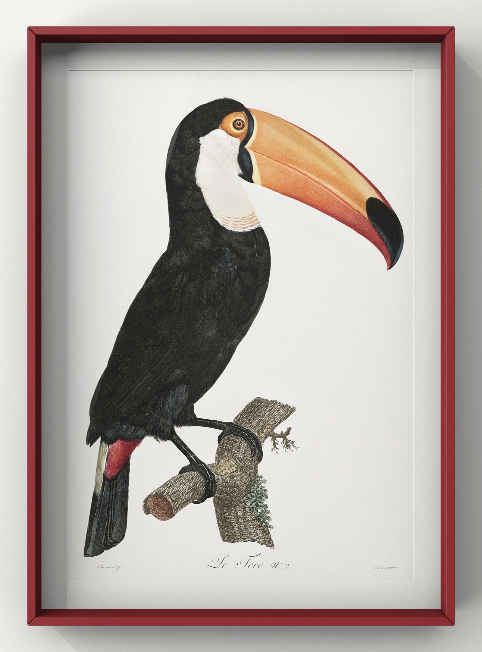 Toco toucan minimal vintage Wall Art Print | Jungle wall art