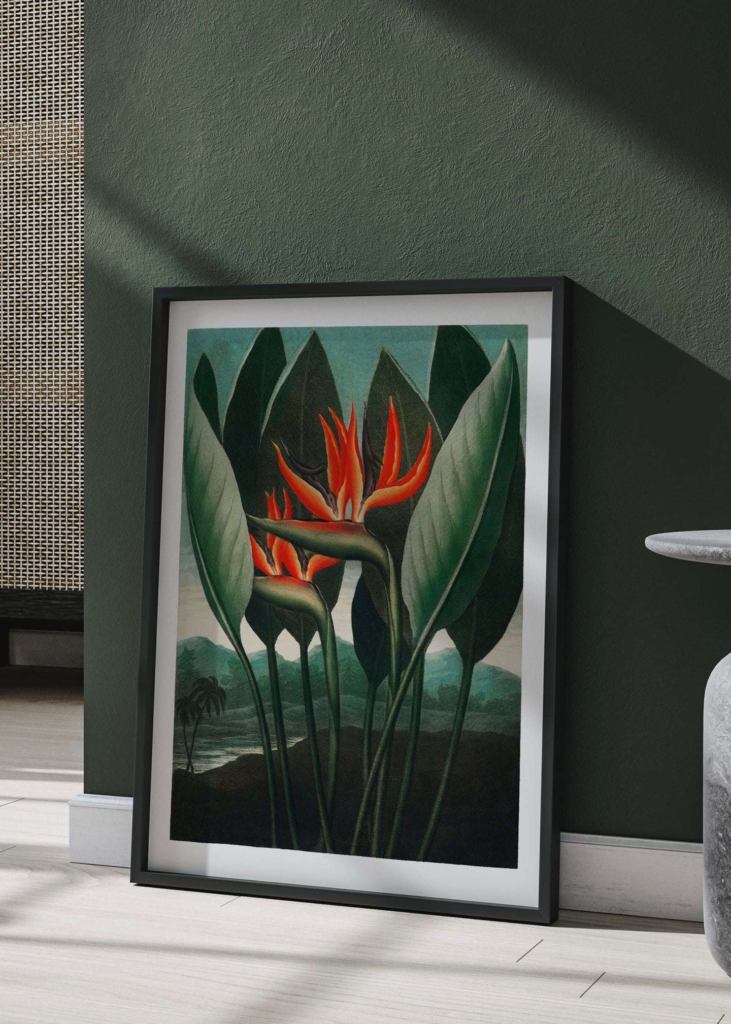 The Queen–Plant | Vintage Wall Art