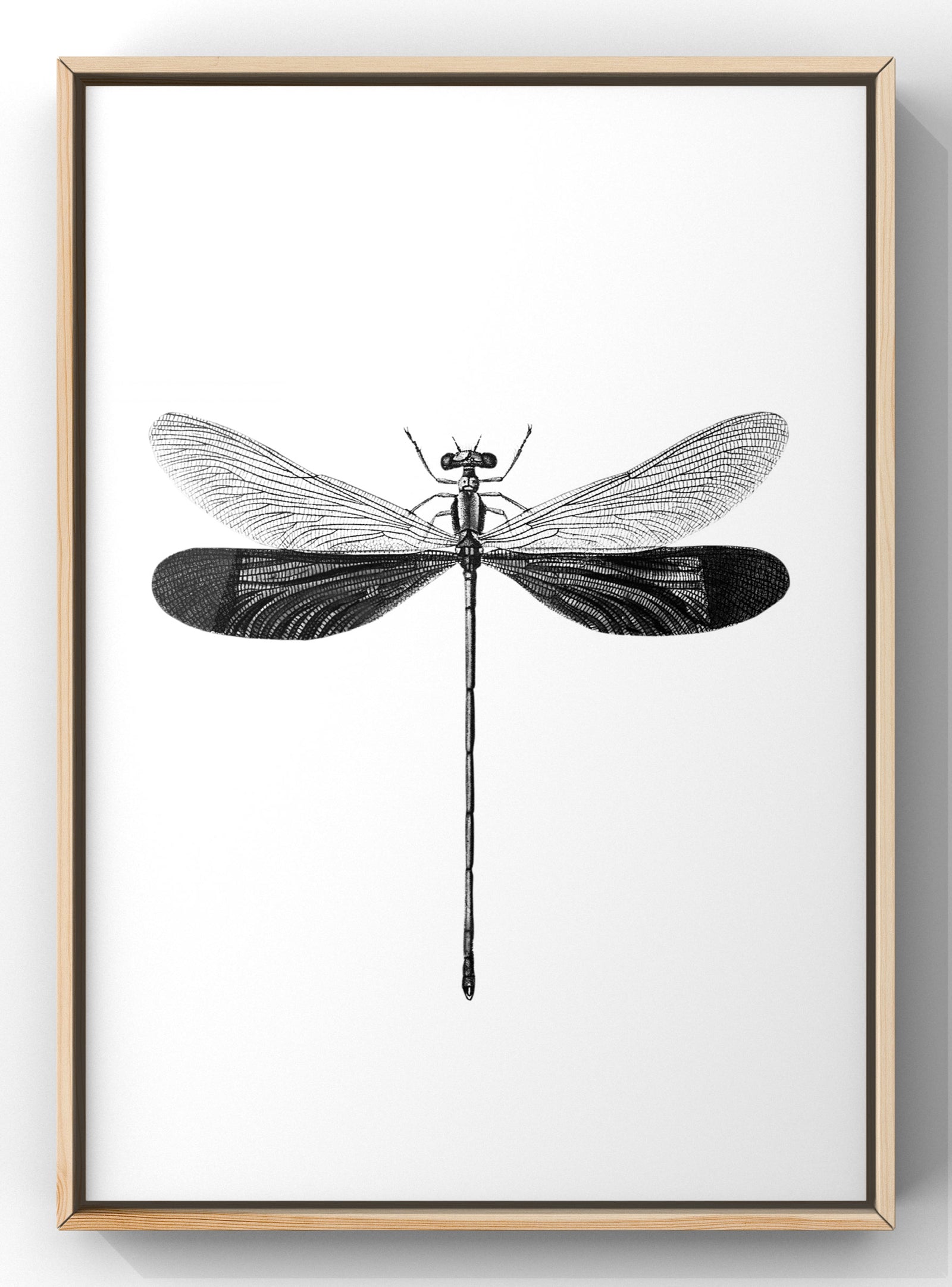 Monochrome Dragonfly Wall Art | Minimal Wall Art Print