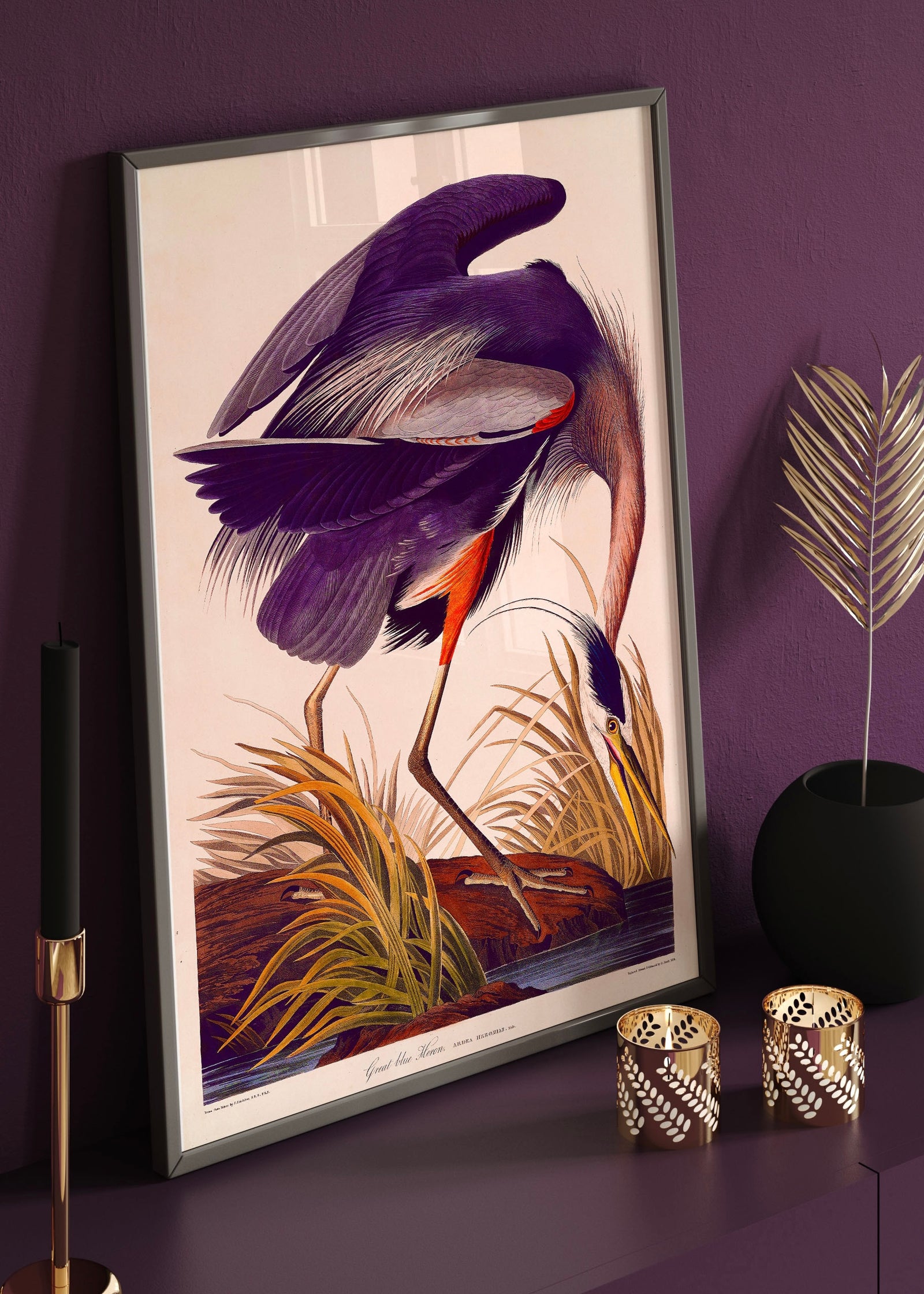 Great Blue Heron | Purple Edition | Vintage Bird illustration