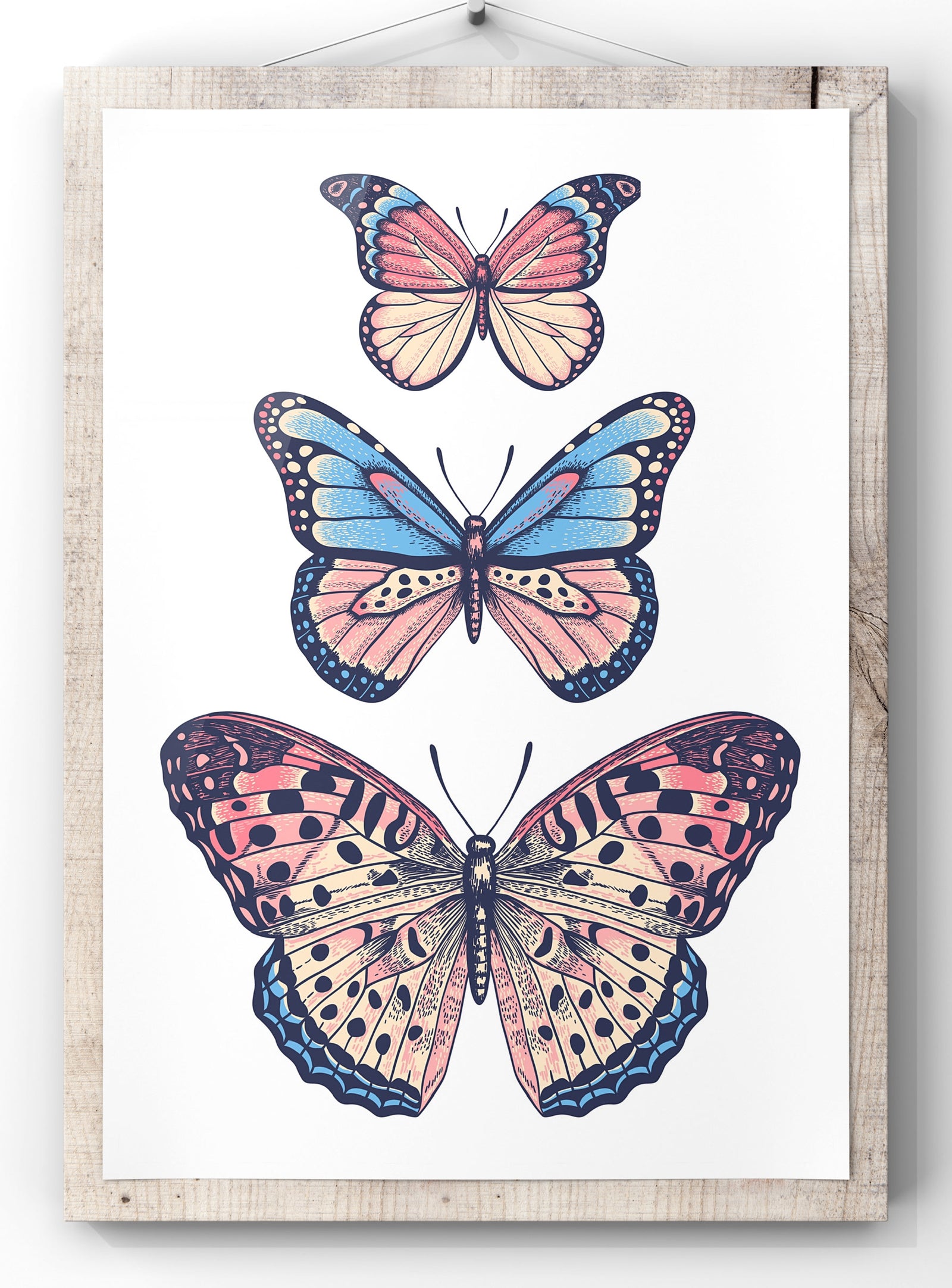 Trio Butterfly Illustration | Wall Art Print