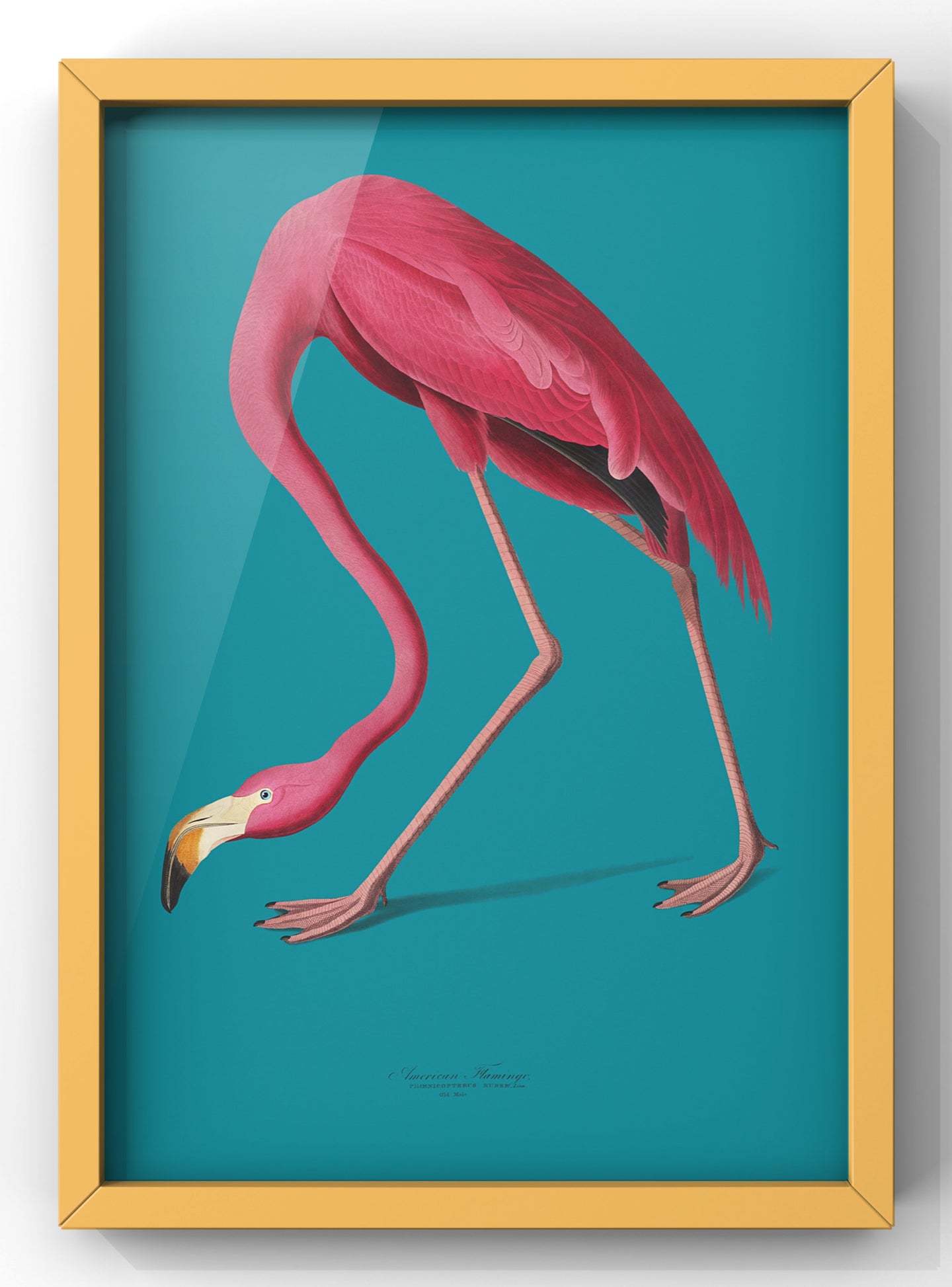 Minimal Bold Blue American Flamingo Vintage Print | Vintage Wall Art