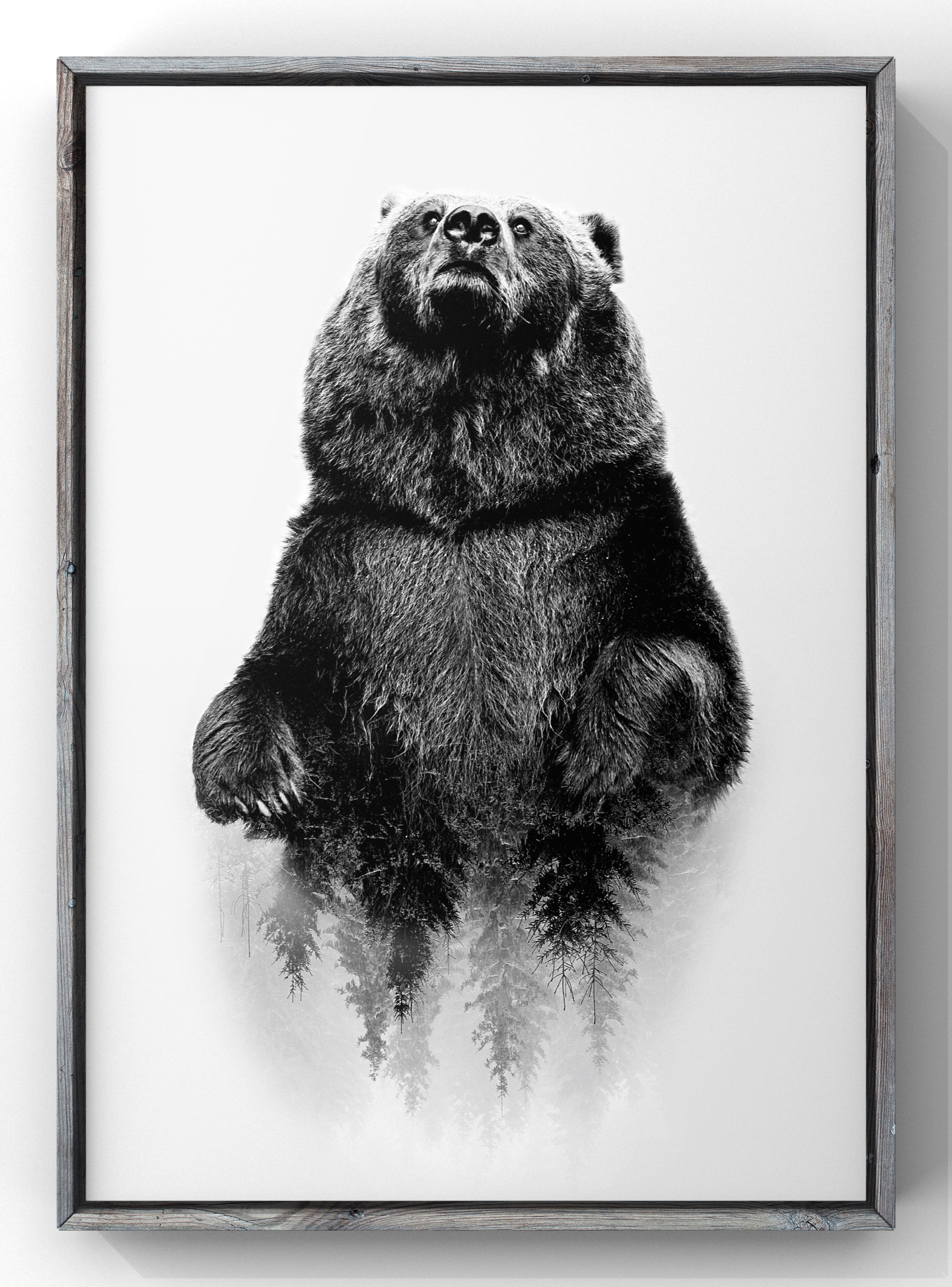 Beautiful frames from Larson Juhl | Frame de Art Beautiful frames from Larson Juhl | Frame de Art
