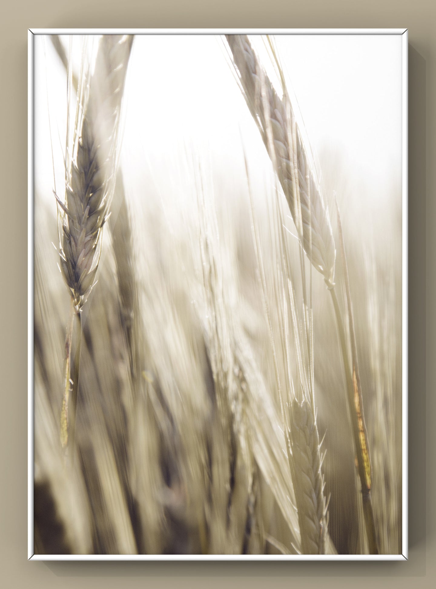 Sunset Grain Wall Art Photography