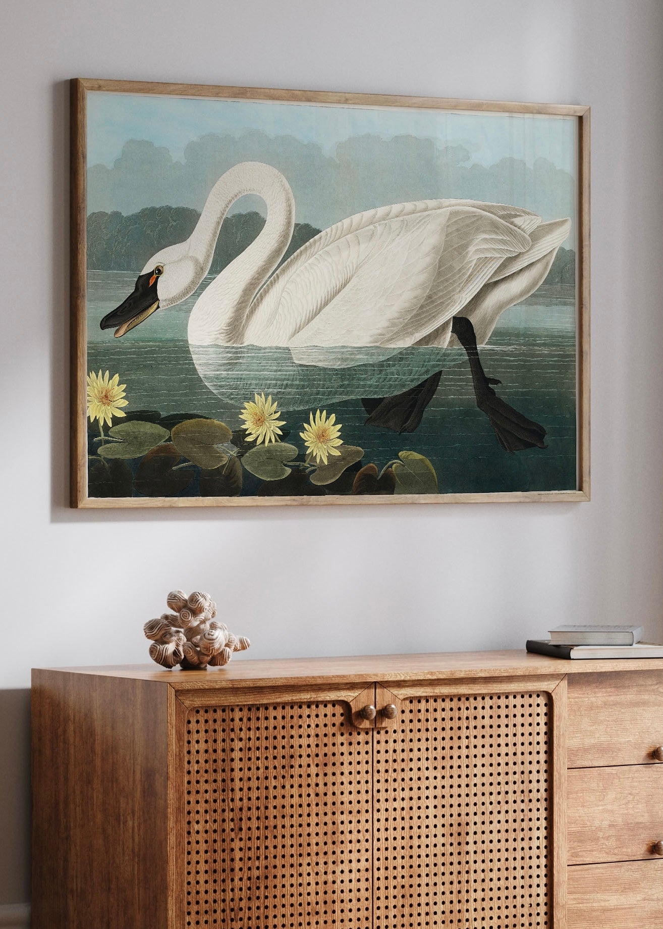 American Swan from Birds of America (1827) | John James Audubon Art | Vintage Art