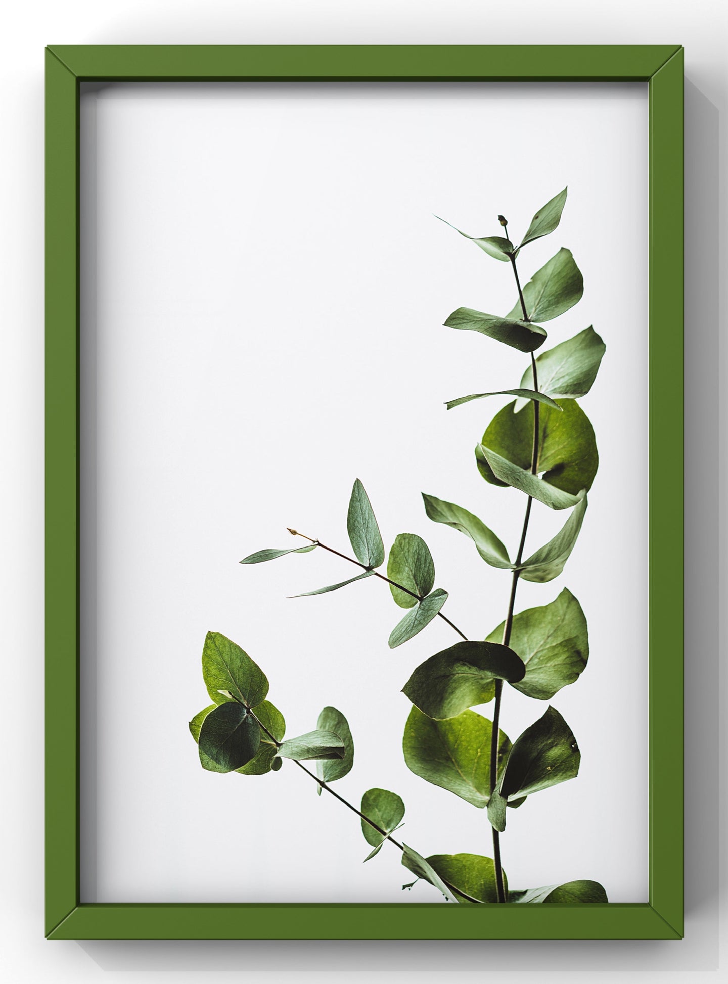 Eucalyptus Branch | Botanical Wall Art