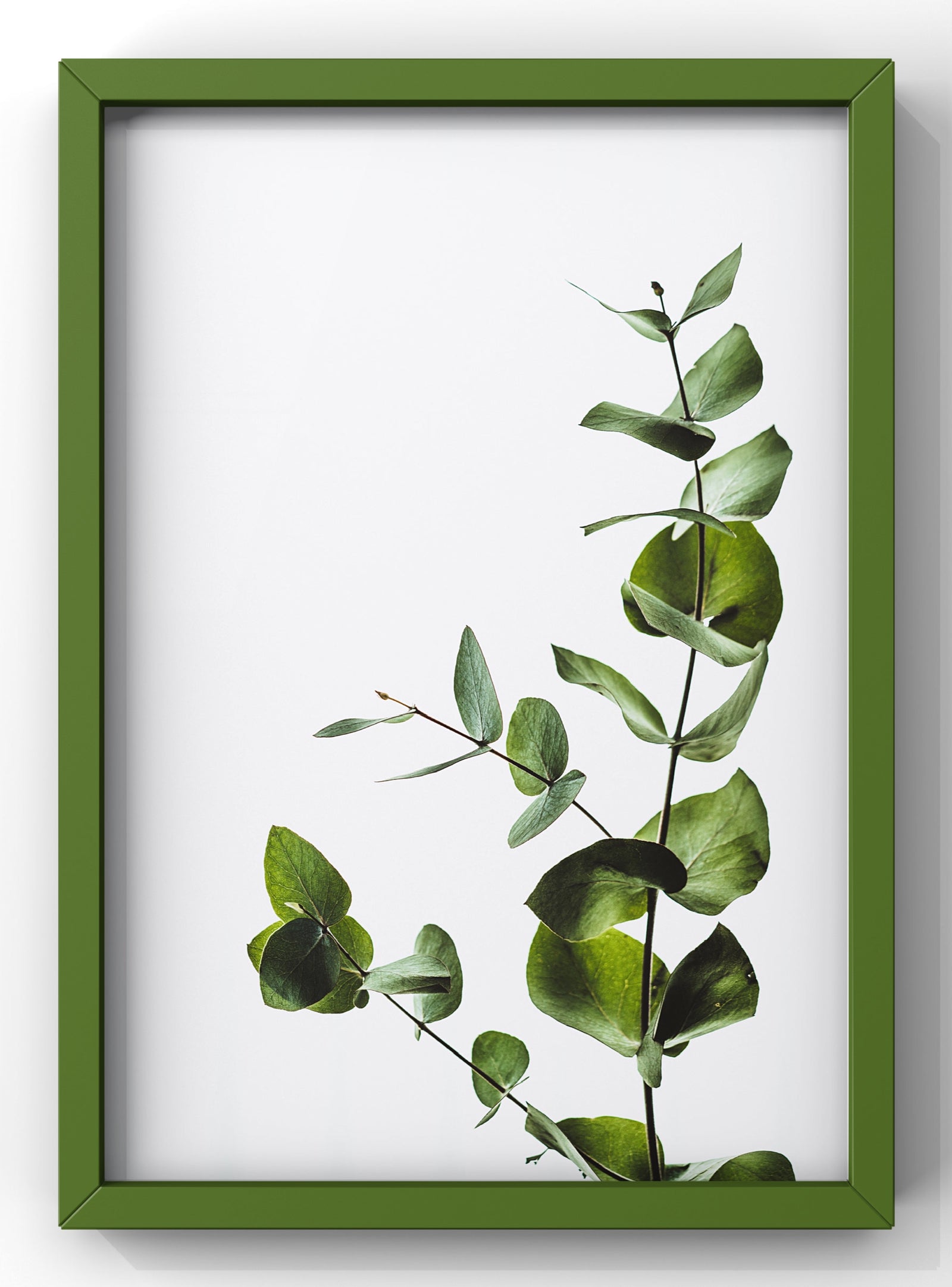 Eucalyptus Branch | Botanical Wall Art
