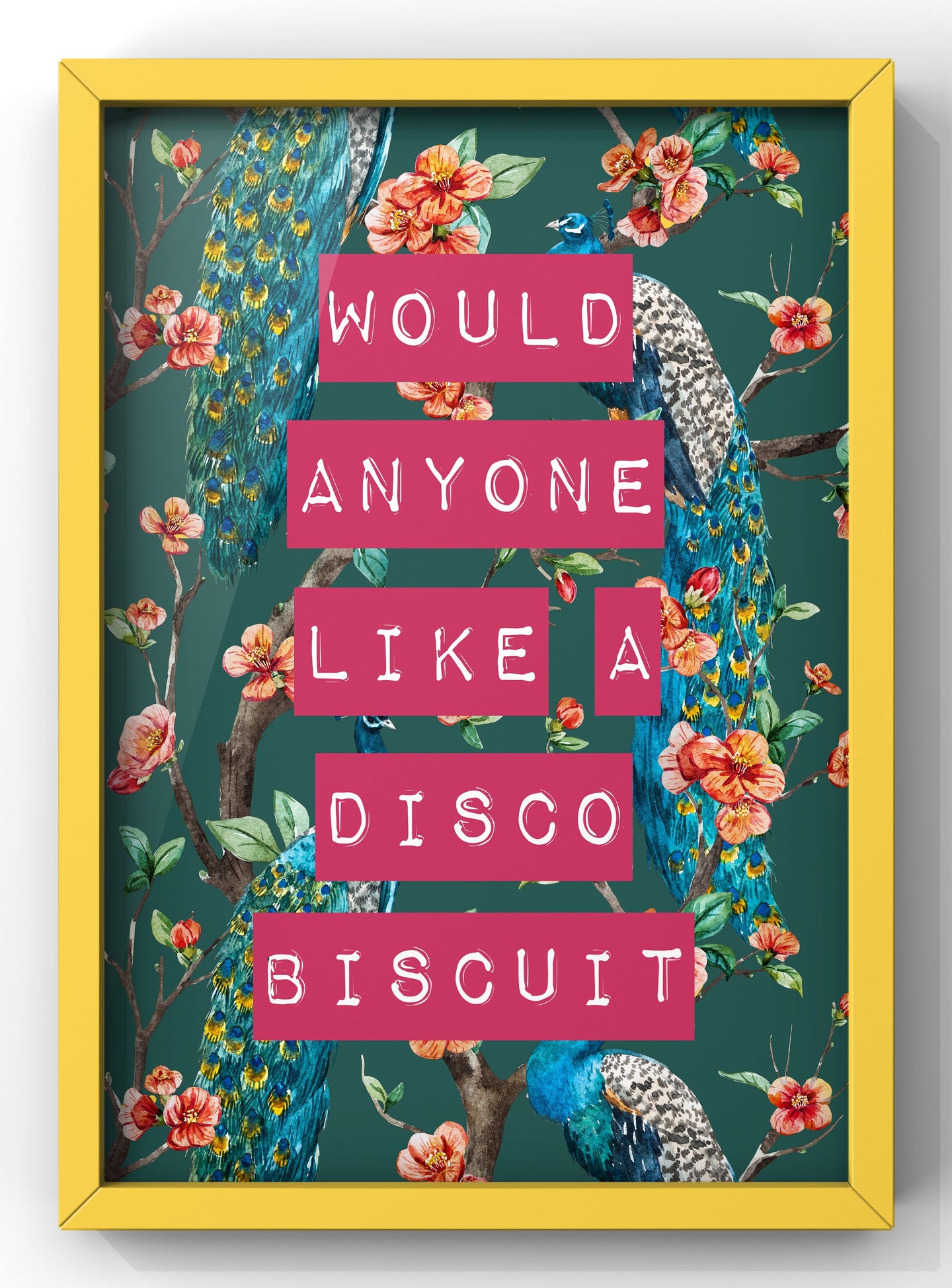 Brassic TV Quote Print | Would Anyone like a Disco Biscuit | Funny Wall Art