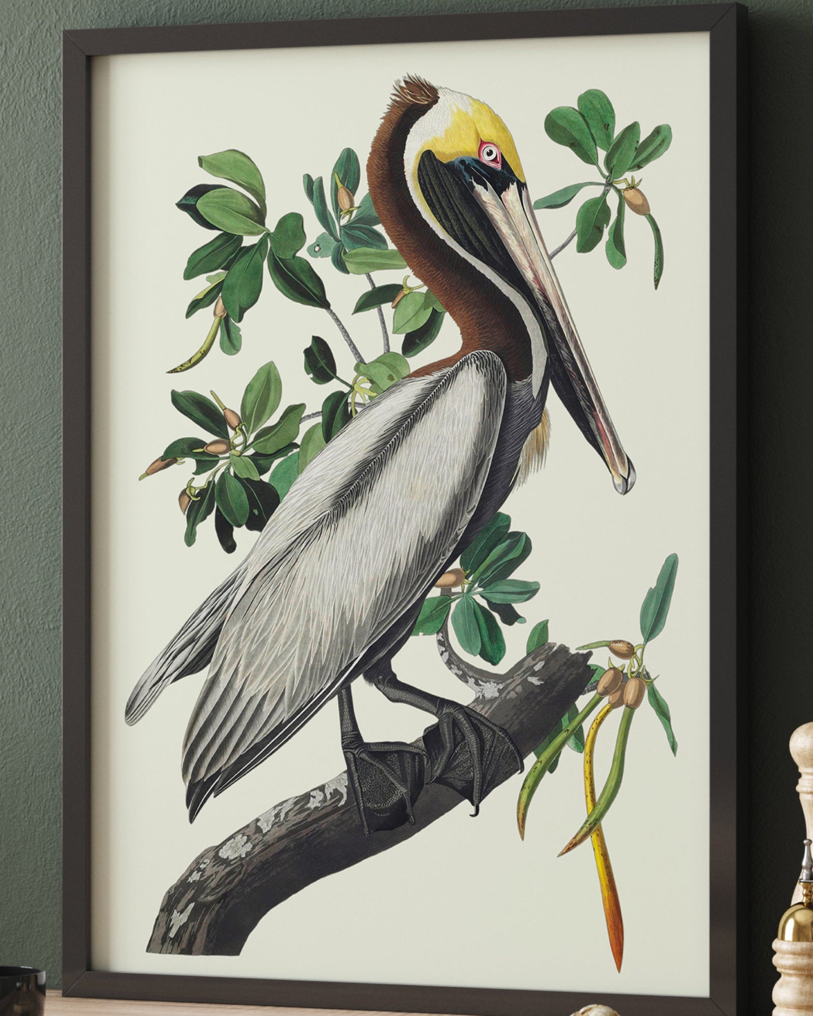 Vintage Bird Wall Art | Audubon Bird America Brown Pelican Art Print