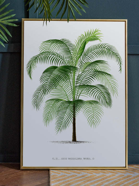 Vintage Palm Tree Print | Vintage Wall Art
