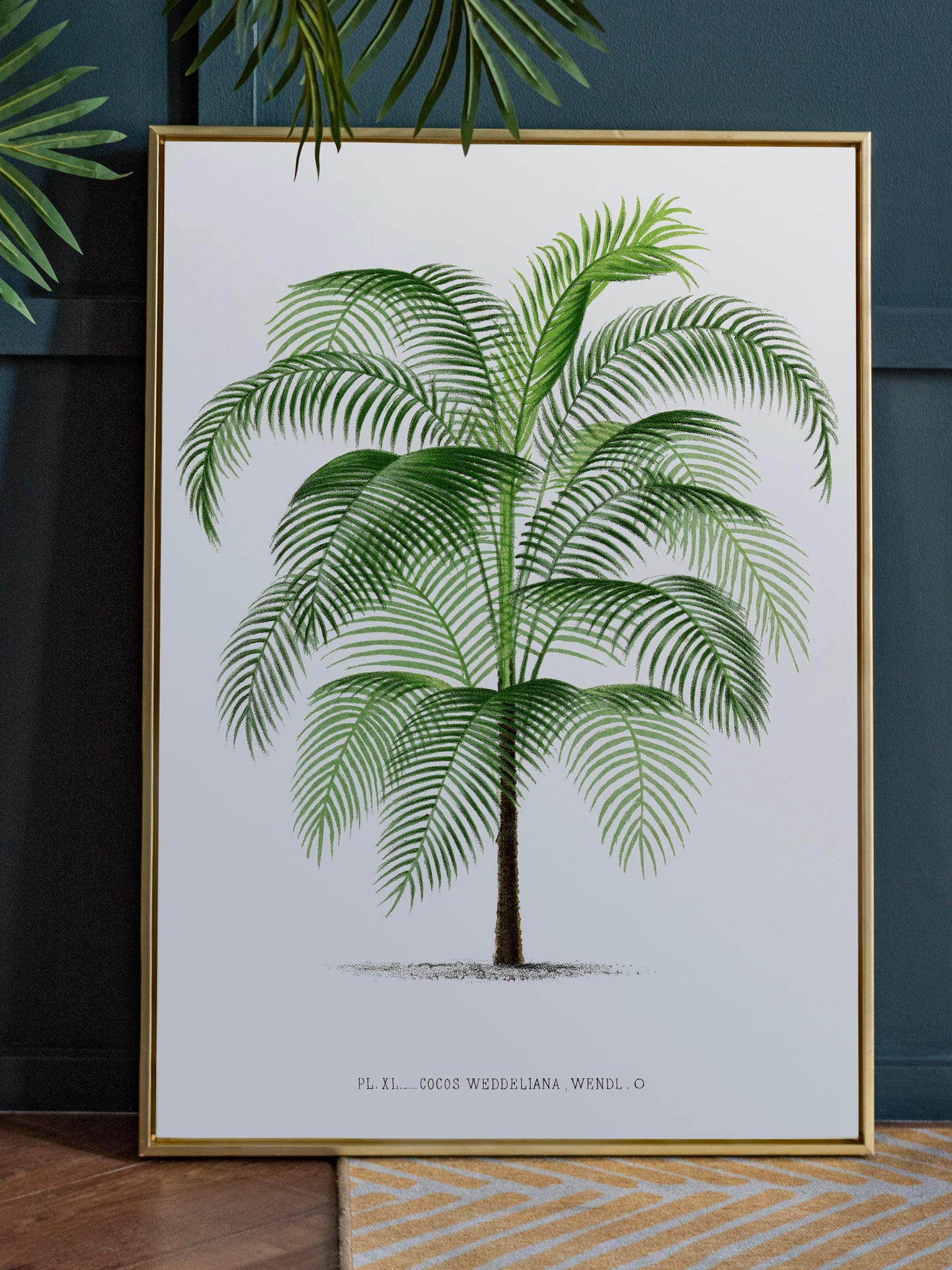 Vintage Palm Tree Print | Vintage Wall Art