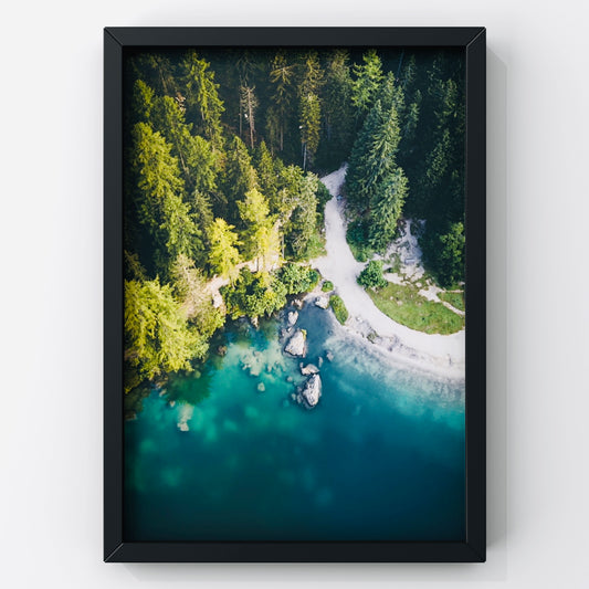 Forest Landscape