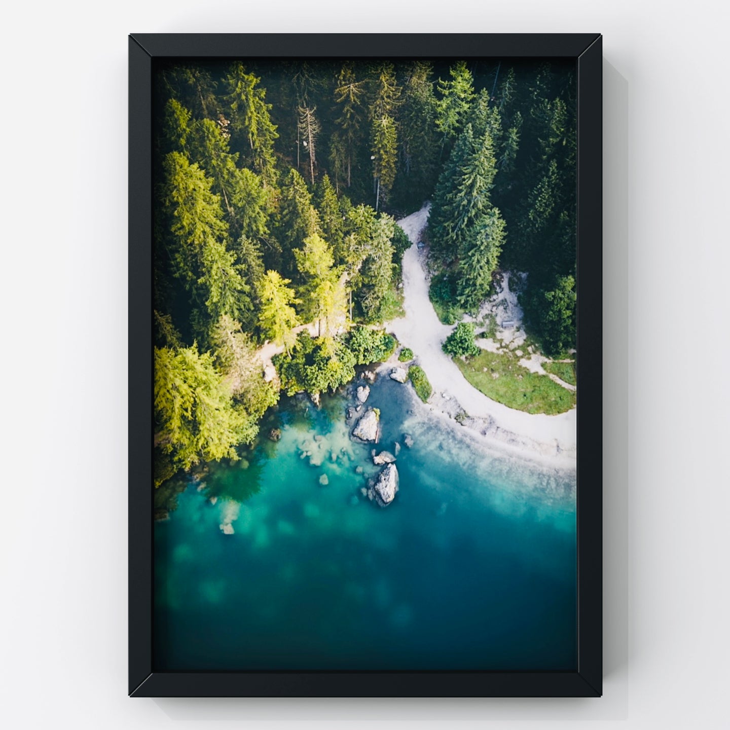 Forest Landscape