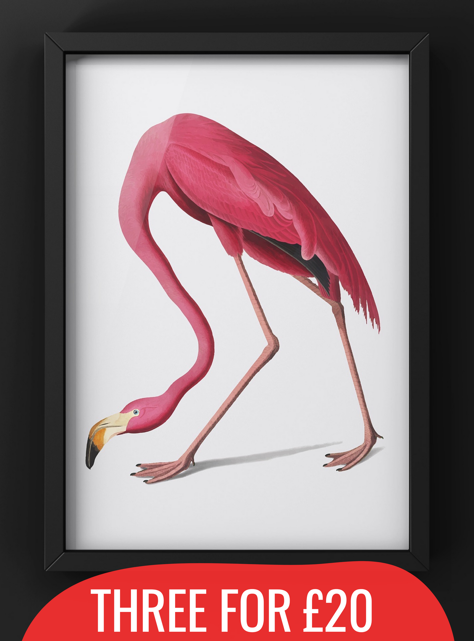 Minimal American Flamingo Vintage Print | Vintage Wall Art |  A4 Print