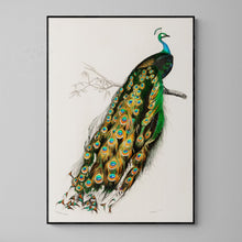Load image into Gallery viewer, Vintage Peacock Print

